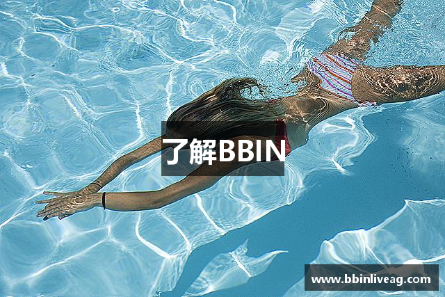 了解BBIN